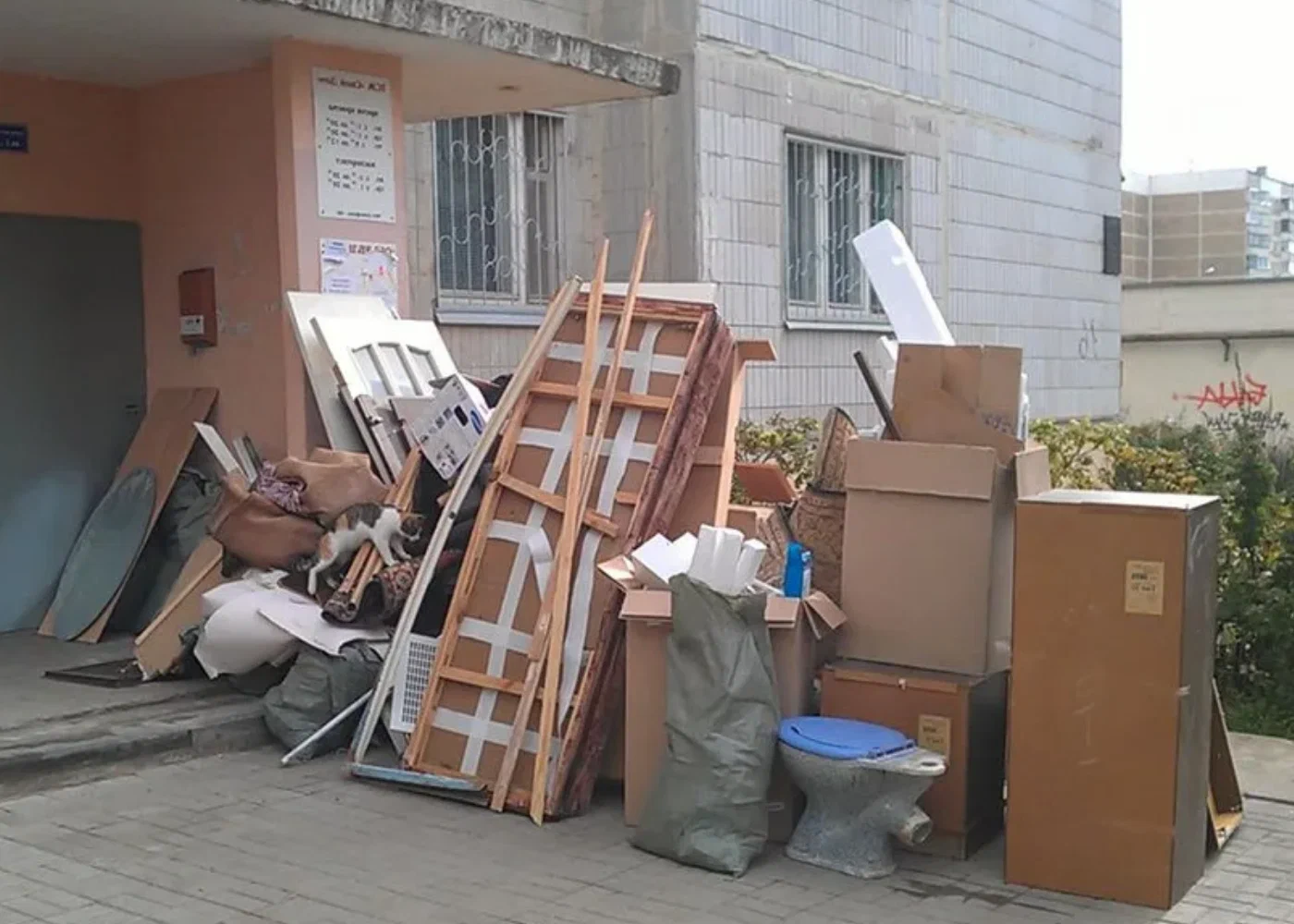 Профессиональный вывоз мусора из квартиры в Йошкаре-Ола в октябре