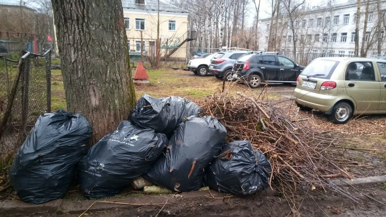 Вывоз мусора после субботника в Йошкаре-Ола от ПроМусор – уборка и утилизация отходов от 2403 руб