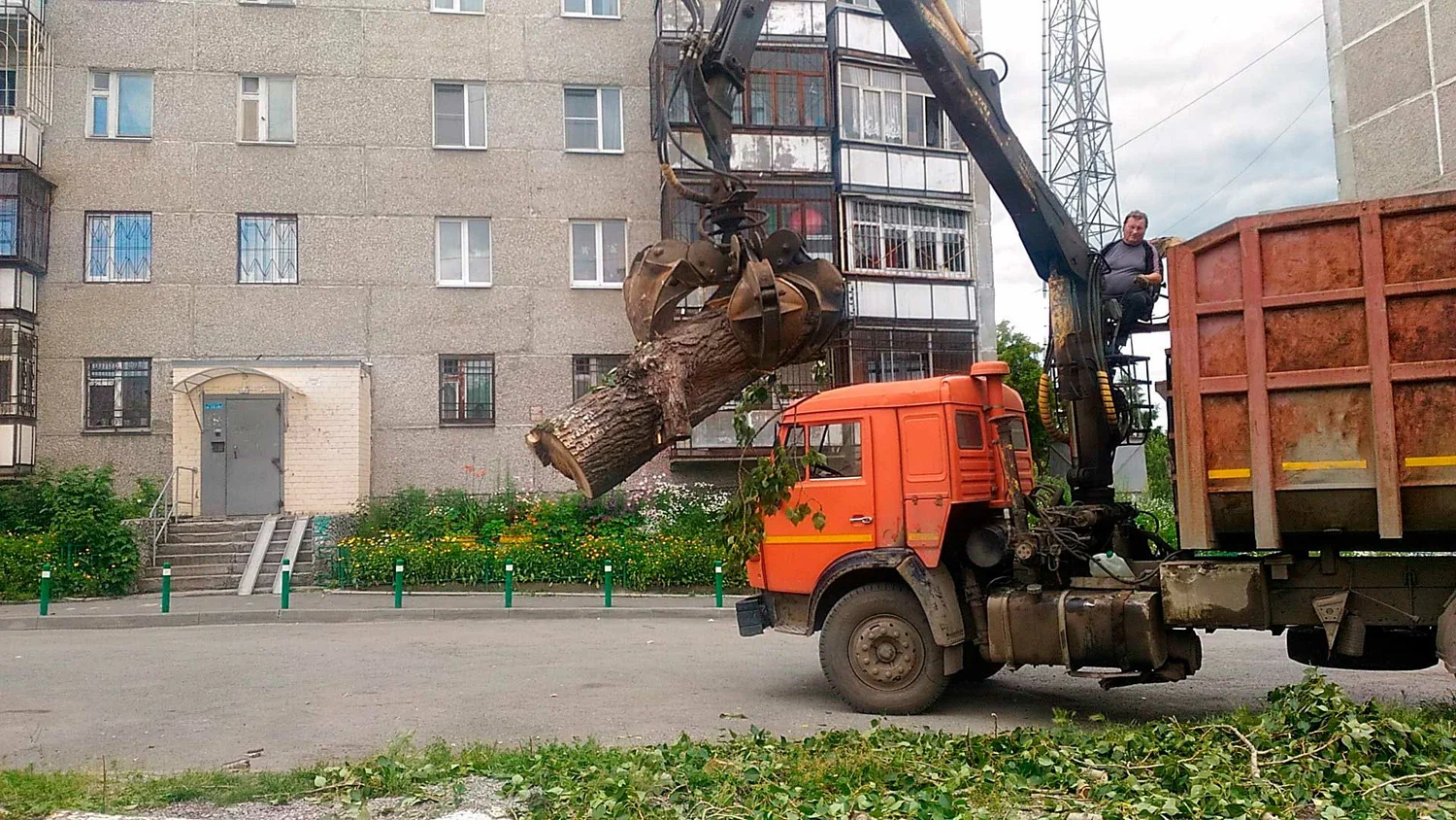 Вывоз спиленных веток и деревьев в Йошкаре-Ола от ПроМусор: порубочные остатки, утилизация, цена от 2966 руб