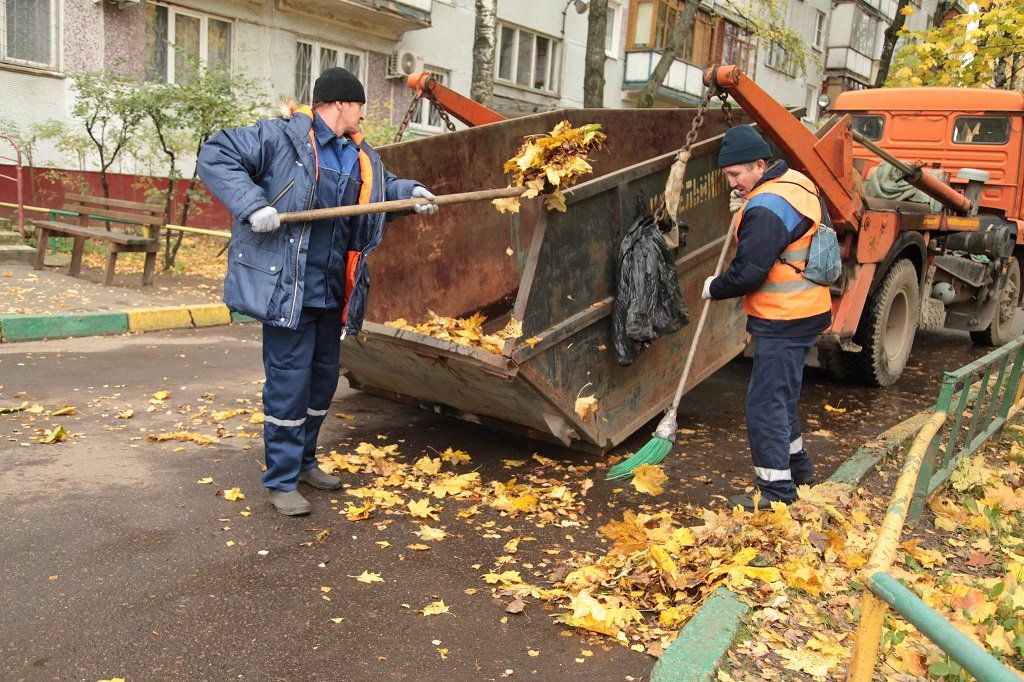 Вывоз опавшей листвы и растительного мусора в Йошкаре-Ола от ПроМусор – цена от 4602 руб., быстрая уборка и утилизация